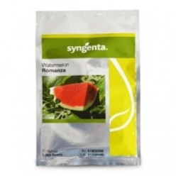 ROMANZA F1 Seminte de pepene verde Syngenta