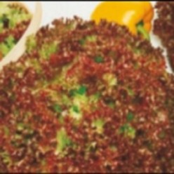 LOLLO ROSSA Seminte de salata Pieterpikzonen