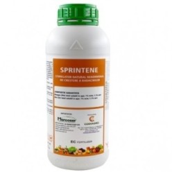 Sprintene
