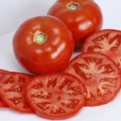 MAHITOS F1 Seminte de tomate Rijk Zwaan