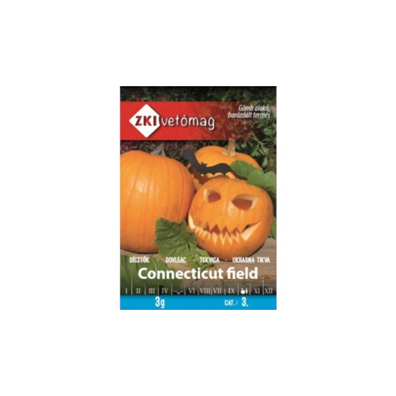 CONNECTICUT FIELD Seminte de dovleac de Halloween ZKI