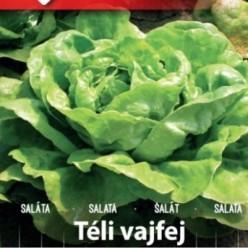 TELI VAJFEJ Seminte de salata ZKI