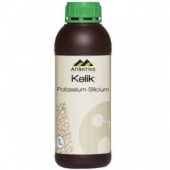 Kelik K-Si