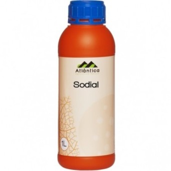 Sodial