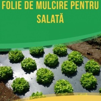 Folie neagra UV gaurita - salata