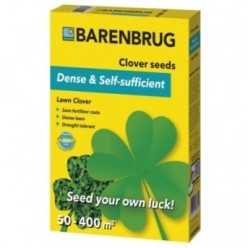Trifoi alb pitic Barenbrug
