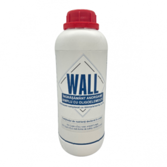 WALL