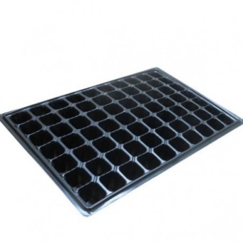 Alveole 70 celule