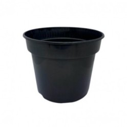 Ghiveci de productie SK19