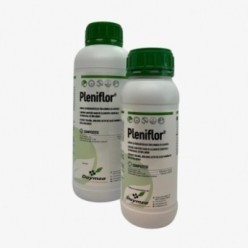 Pleniflor