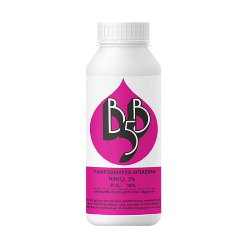 BB5
