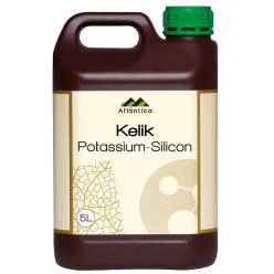 Kelik K-Si