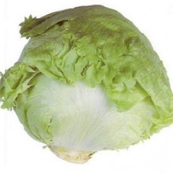 AVIRAM Seminte de salata Hazera