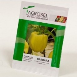 BARBARA Seminte de ardei Blocky Agrosel