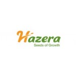 Hazera